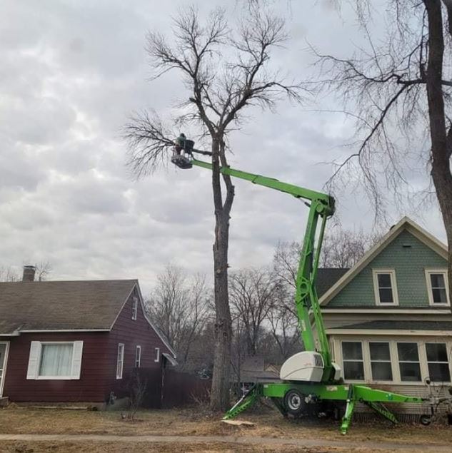 tree services mankato mn