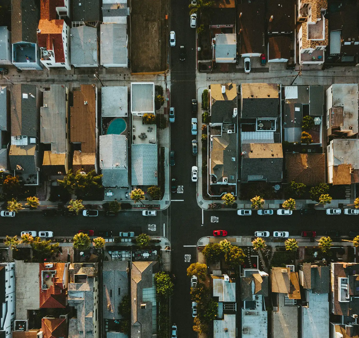 city trees mankato mn