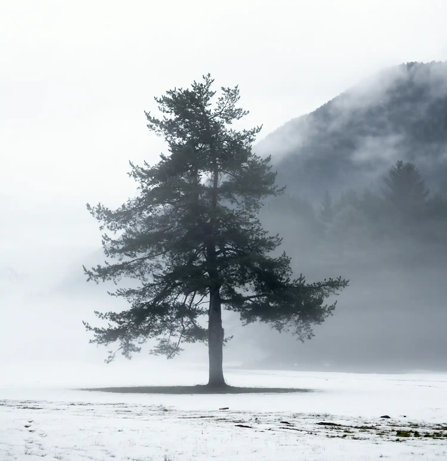 safety winter services mankato mn